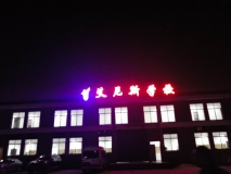 【艾尼斯學(xué)?！繕琼敯l(fā)光字效果