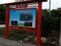 桃源鎮宣傳欄效果展示